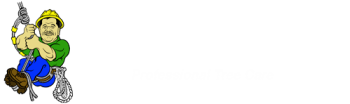 GreenKeepers Westchester Tree